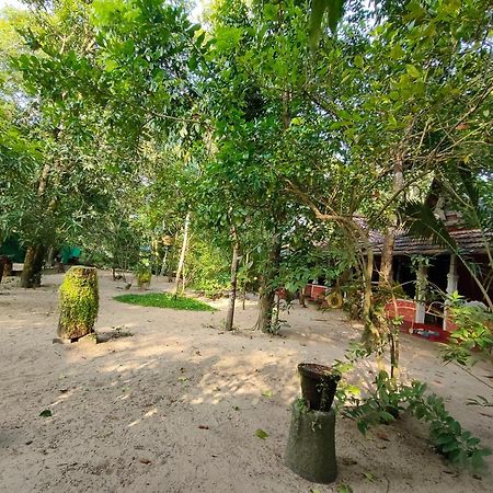 Alappuzha Abba Marari Beach Villas & Homestay Mararikulam מראה חיצוני תמונה
